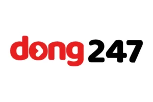 dong247