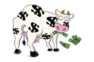 Cash Cow vay tiền